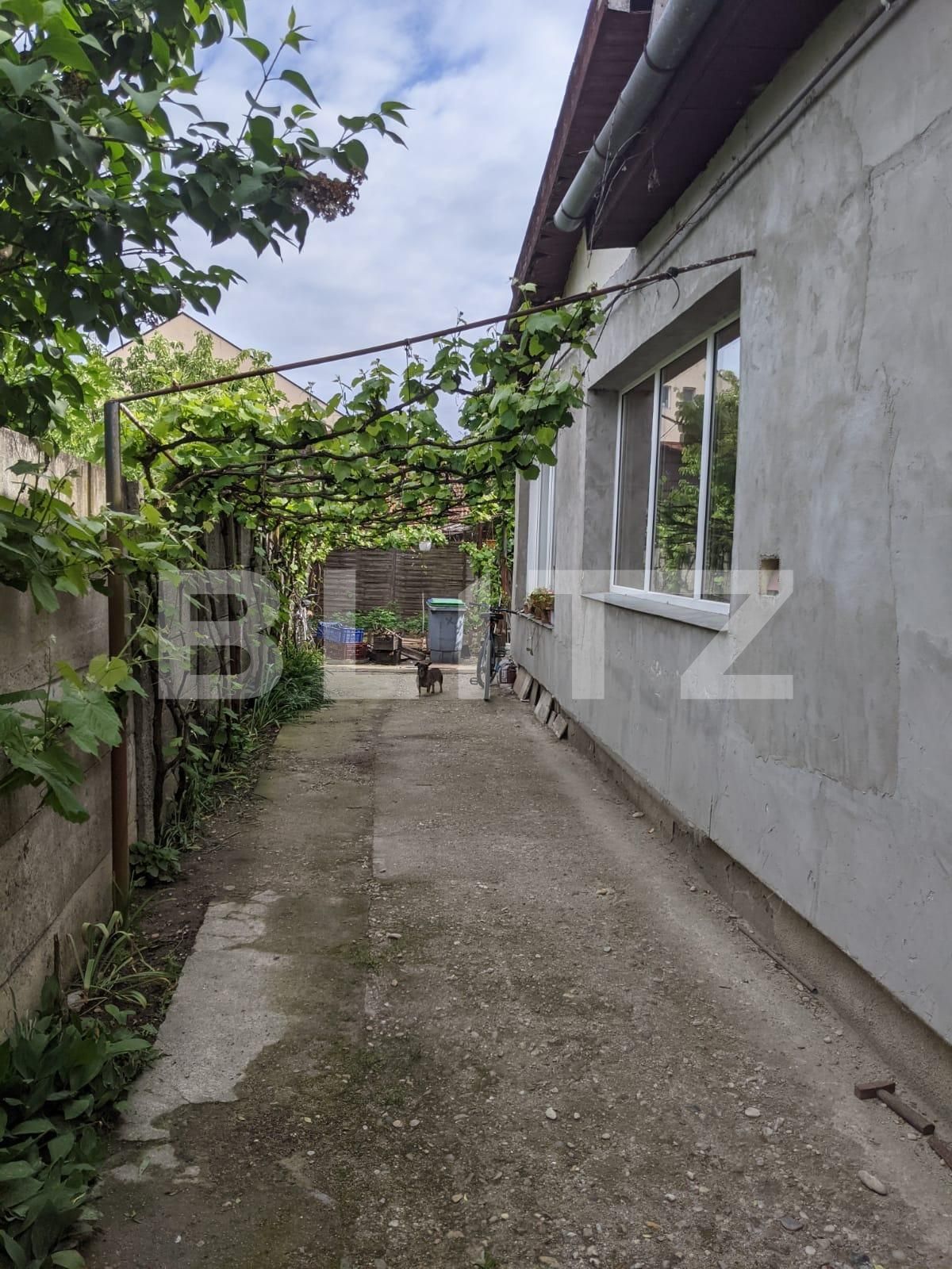 Casa de vânzare 4 camere Bucovina - 65012CV | BLITZ Timișoara | Poza3