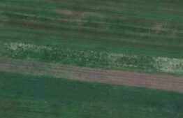 Teren 2,5 hectare, extravilan, in Pischia langa padure