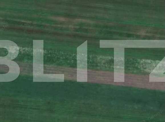 Teren de vânzare Pischia - 65042TV | BLITZ Timișoara | Poza1