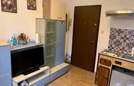 Garsoniera de vanzare, zona Sagului 