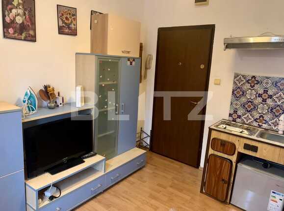 Garsonieră de vânzare Sagului - 65048AV | BLITZ Timișoara | Poza2