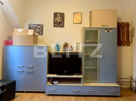 Garsonieră de vânzare Sagului - 65048AV | BLITZ Timișoara | Poza3