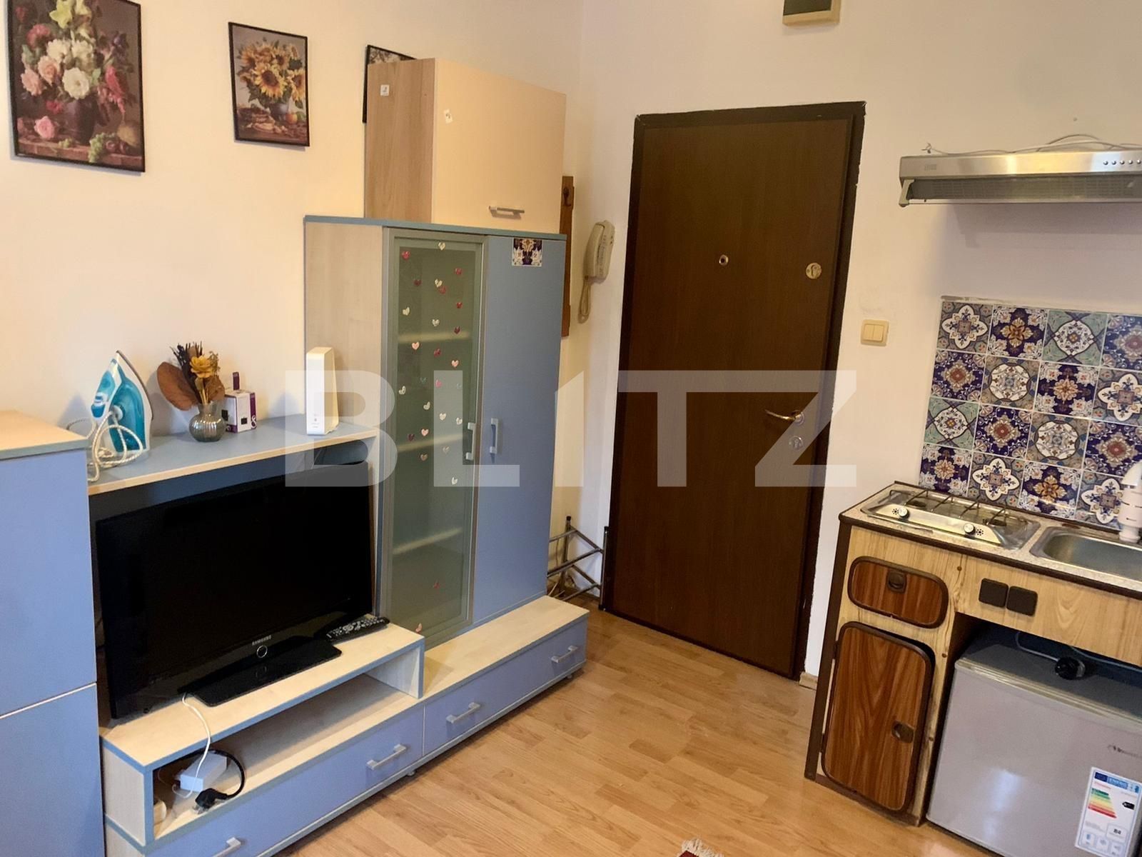Garsonieră de vânzare Sagului - 65048AV | BLITZ Timișoara | Poza2