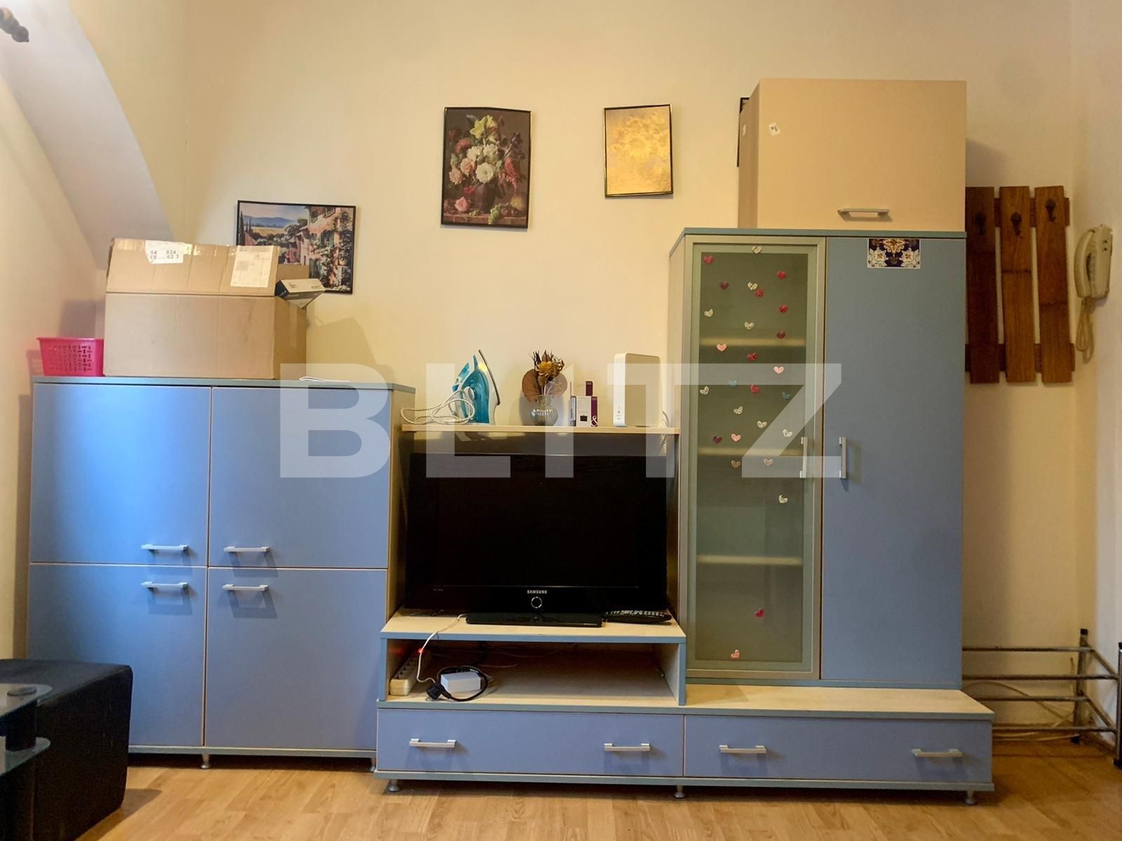 Garsonieră de vânzare Sagului - 65048AV | BLITZ Timișoara | Poza3