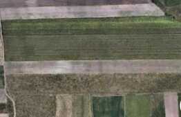 Teren 3 hectare, extravilan, in Sacalaz