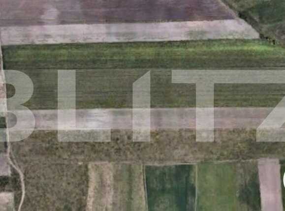 Teren de vânzare Sacalaz - 65049TV | BLITZ Timișoara | Poza1