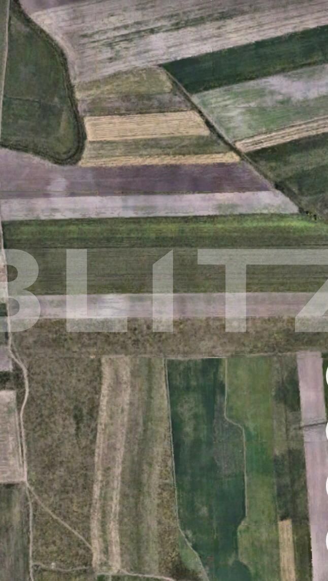Teren de vânzare Sacalaz - 65049TV | BLITZ Timișoara | Poza1