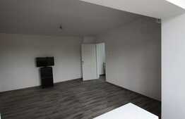 Apartament 1 camera, 44 mp, Zona Complex Studentesc