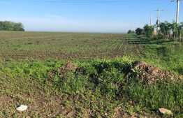 Teren 4,5 hectare, in Giarmata, langa autostrada A1