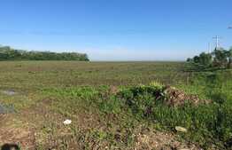 Teren 4,5 hectare, in Giarmata, langa autostrada A1