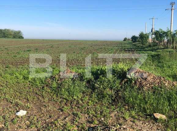 Teren de vânzare Giarmata - 65080TV | BLITZ Timișoara | Poza2