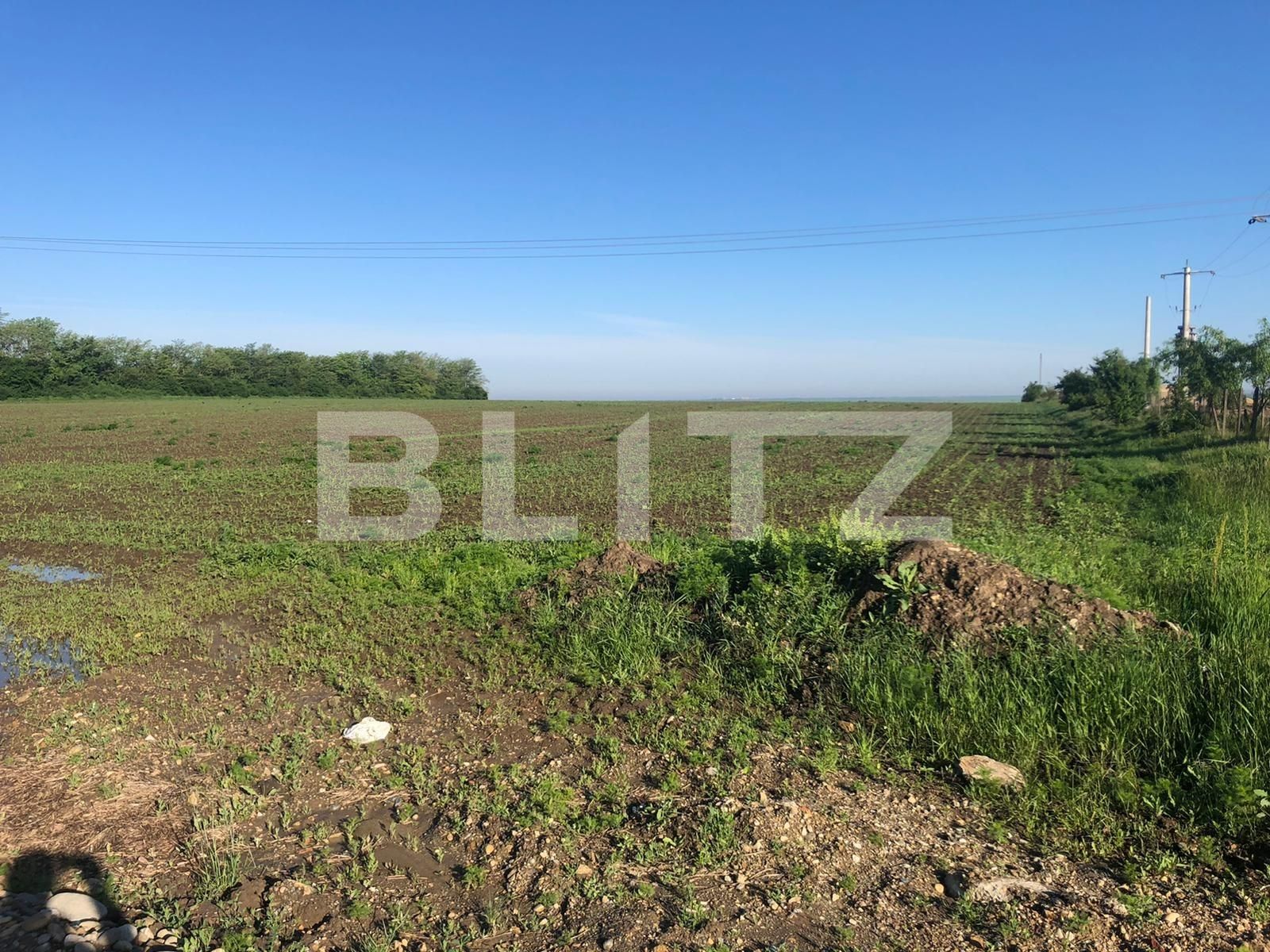 Teren de vânzare Giarmata - 65080TV | BLITZ Timișoara | Poza1