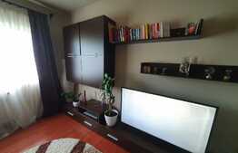 Apartament 3 camere, semidecomandat, zona Lipovei, 65 mp