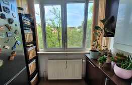 Apartament 3 camere, semidecomandat, zona Lipovei, 65 mp