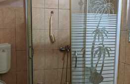 Casa individuala de vanzare pe un singur nivel, teren 388 mp, Zona Blascovici