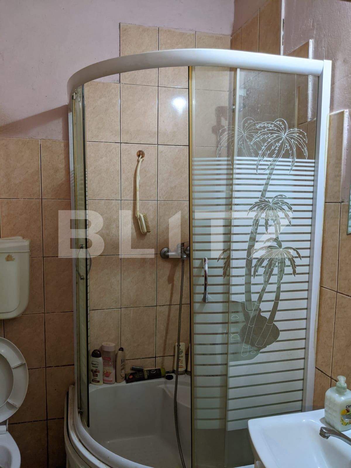 Casa de vânzare 3 camere Blascovici - 65112CV | BLITZ Timișoara | Poza3