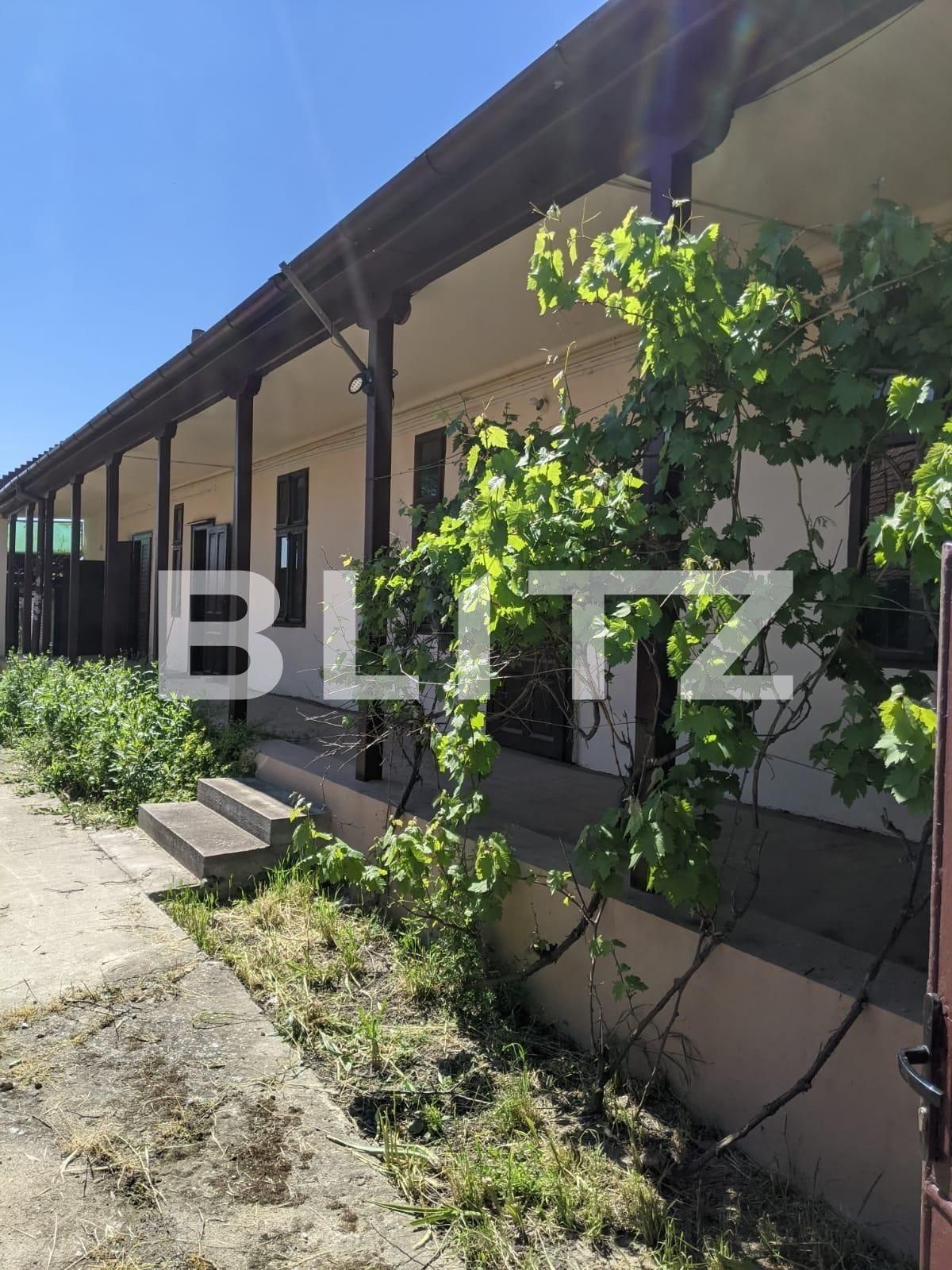 Casa de vânzare 3 camere Freidorf - 65113CV | BLITZ Timișoara | Poza1