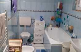 De vanzare casa individuala, 80 mp utili, 305 mp teren, Zona Mehala