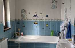 Casa individuala, 400 mp utili, 2877 mp teren, Zona Sagului