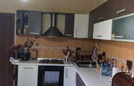 Casa individuala, 400 mp utili, 2877 mp teren, Zona Sagului