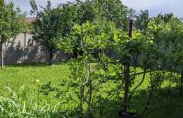 Casa individuala, 400 mp utili, 2877 mp teren, Zona Sagului