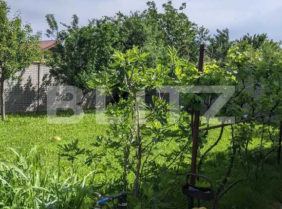 Casa de vânzare 8 camere Sagului - 65117CV | BLITZ Timișoara | Poza13