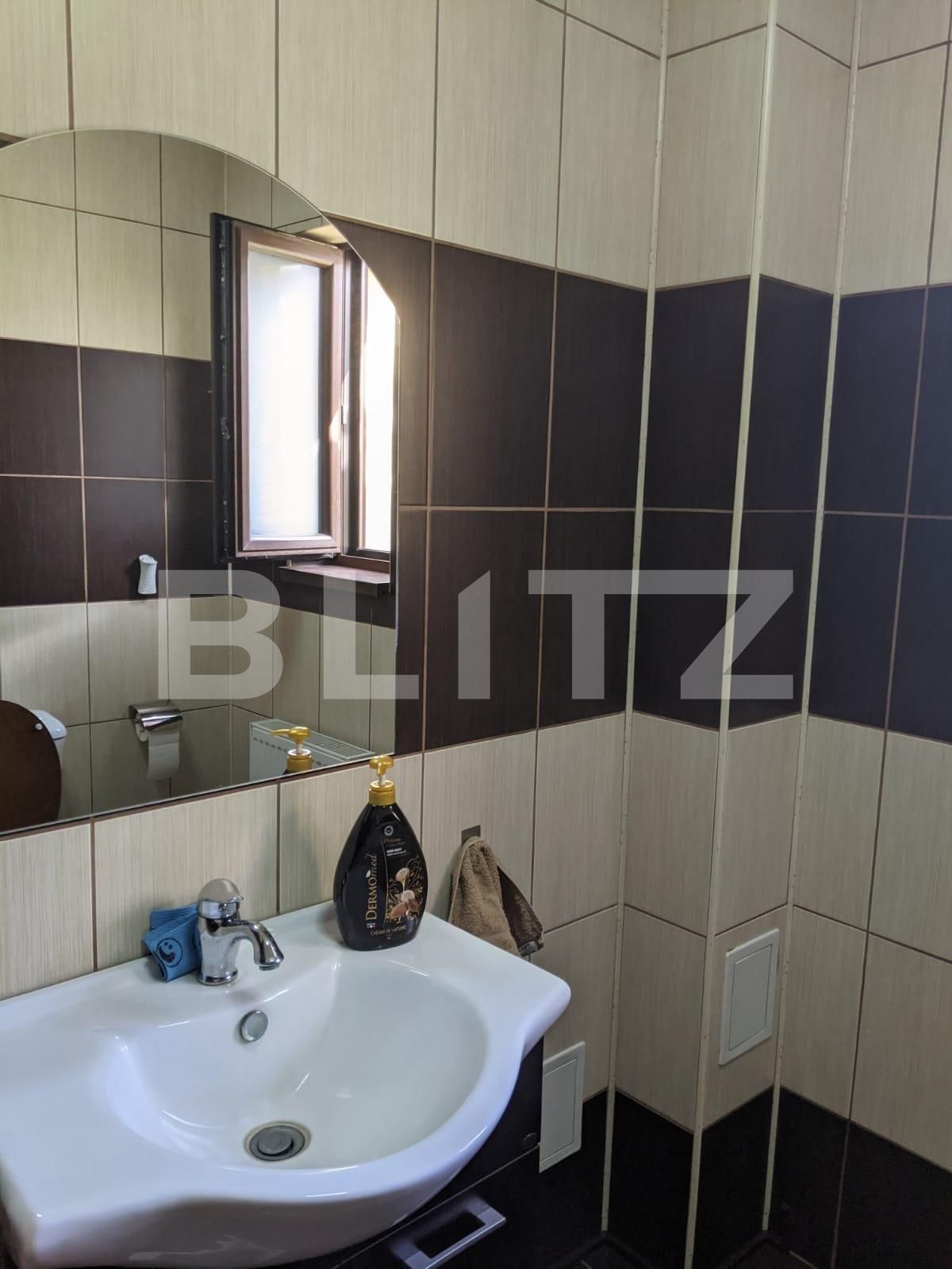 Casa de vânzare 8 camere Sagului - 65117CV | BLITZ Timișoara | Poza5