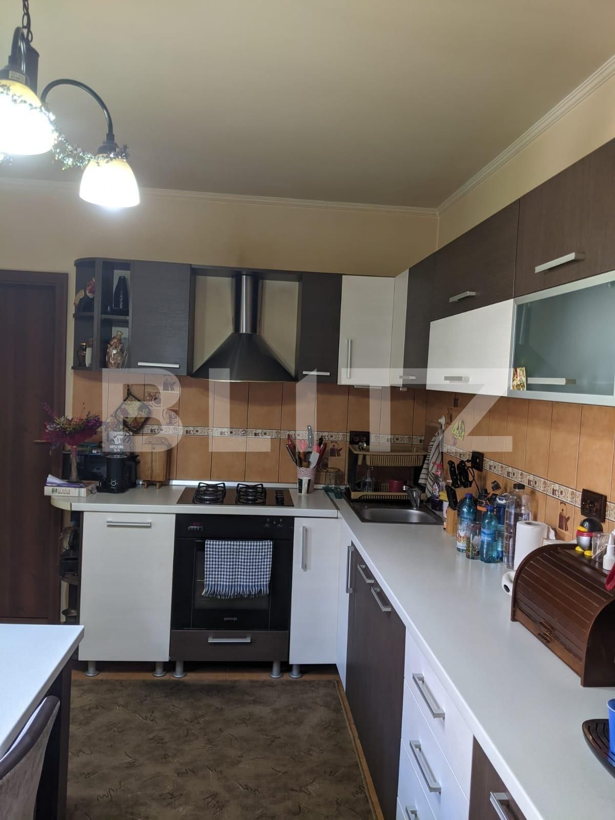 Casa de vânzare 8 camere Sagului - 65117CV | BLITZ Timișoara | Poza3