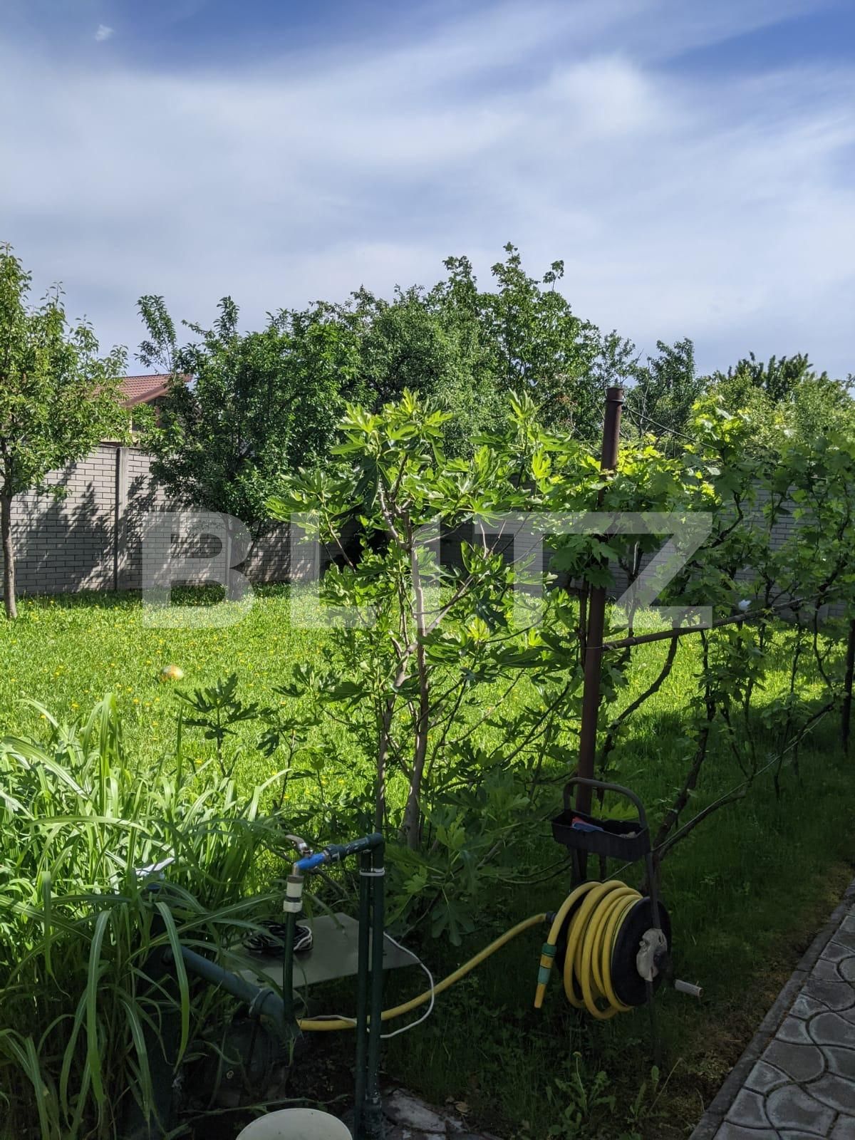 Casa de vânzare 8 camere Sagului - 65117CV | BLITZ Timișoara | Poza13