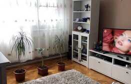 Apartament 2 camere, 40 mp, Zona Blascovici