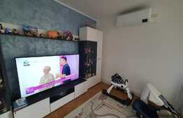 Apartament 3 camere, DECOMANDAT, zona Lipovei, 78 mp