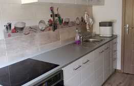 Apartament 3 camere, DECOMANDAT, zona Lipovei, 78 mp