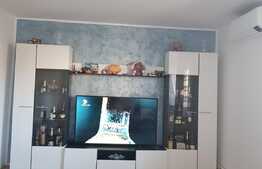 Apartament 3 camere, DECOMANDAT, zona Lipovei, 78 mp