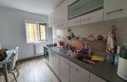 Apartament 3 camere, DECOMANDAT, zona Lipovei, 78 mp