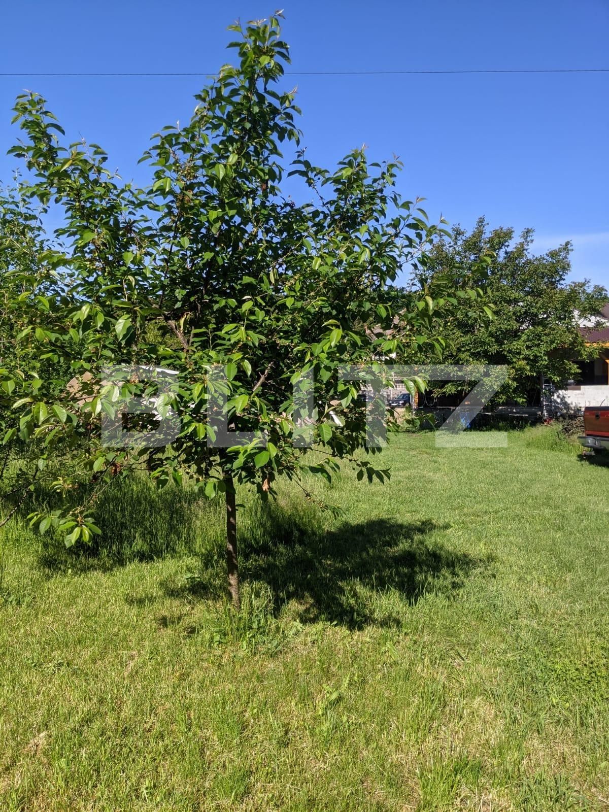 Casa de vânzare 7 camere Ghiroda - 65169CV | BLITZ Timișoara | Poza15