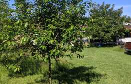 Teren de vanzare intravilan, 770 mp, Ghiroda