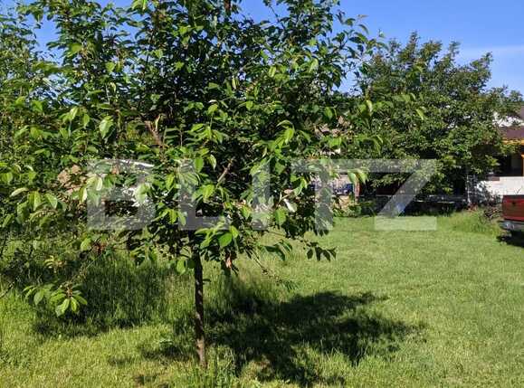 Teren de vânzare Ghiroda - 65177TV | BLITZ Timișoara | Poza1