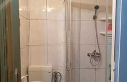 Garsoniera 21 mp, etaj intermediar, zona Blascovici