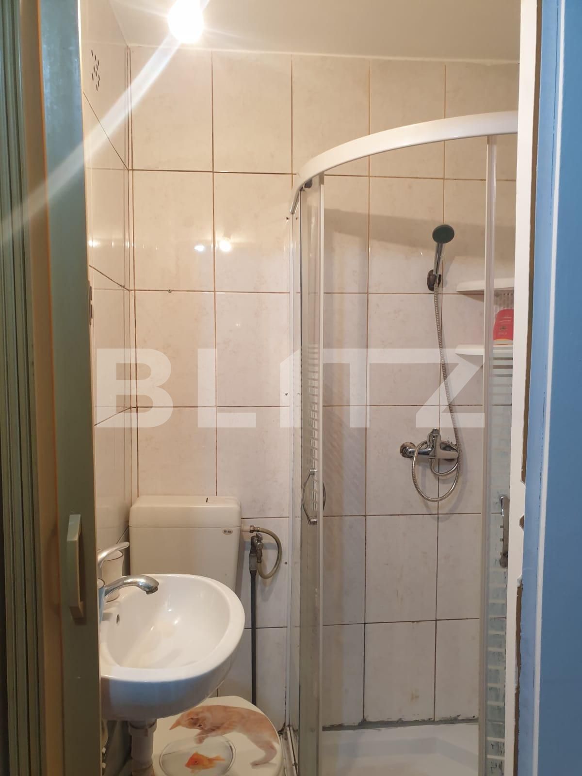 Garsonieră de vânzare Blascovici - 65346AV | BLITZ Timișoara | Poza4