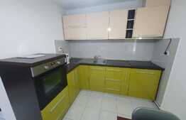 Apartament 1 camera, 34 mp, zona Lipovei, renovat