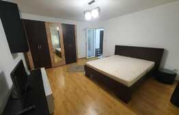 Apartament 1 camera, 34 mp, zona Lipovei, renovat