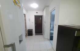 Apartament 1 camera, 34 mp, zona Lipovei, renovat