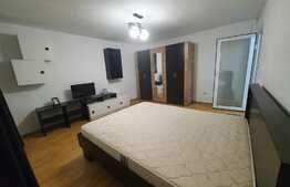 Apartament 1 camera, 34 mp, zona Lipovei, renovat