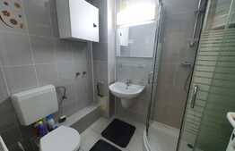 Apartament 1 camera, 34 mp, zona Lipovei, renovat