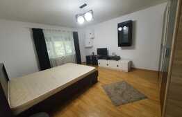 Apartament 1 camera, 34 mp, zona Lipovei, renovat