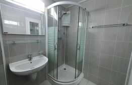 Apartament 1 camera, 34 mp, zona Lipovei, renovat