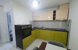 Apartament 1 camera, 34 mp, zona Lipovei, renovat