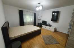 Apartament 1 camera, 34 mp, zona Lipovei, renovat