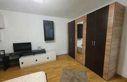 Apartament 1 camera, 34 mp, zona Lipovei, renovat