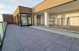 Penthouse 66mp utili si terasa de 95mp, Calea Torontalului